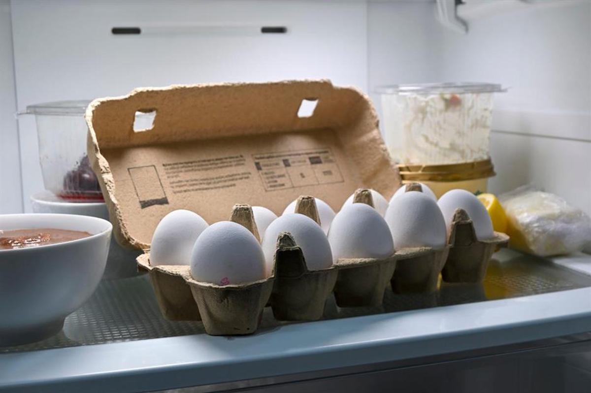 Oeufs