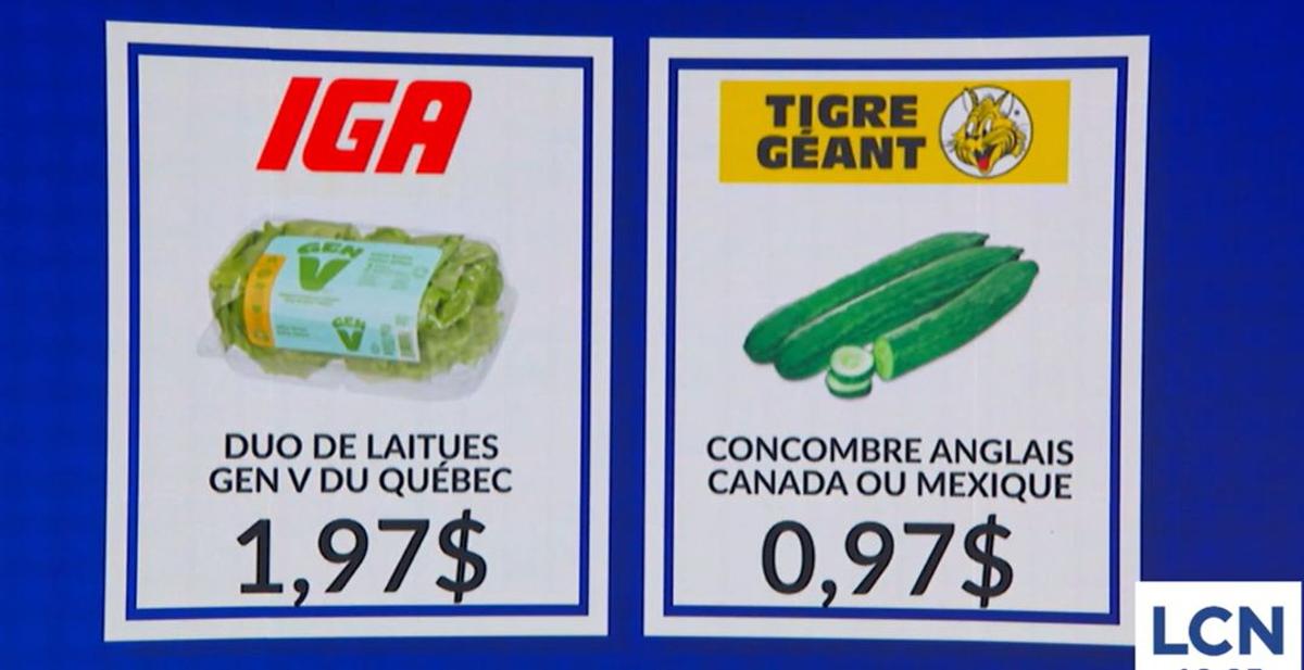 Capture vidéo LNC, Combat des circulaires avec Jean-François Gagné Bérubé