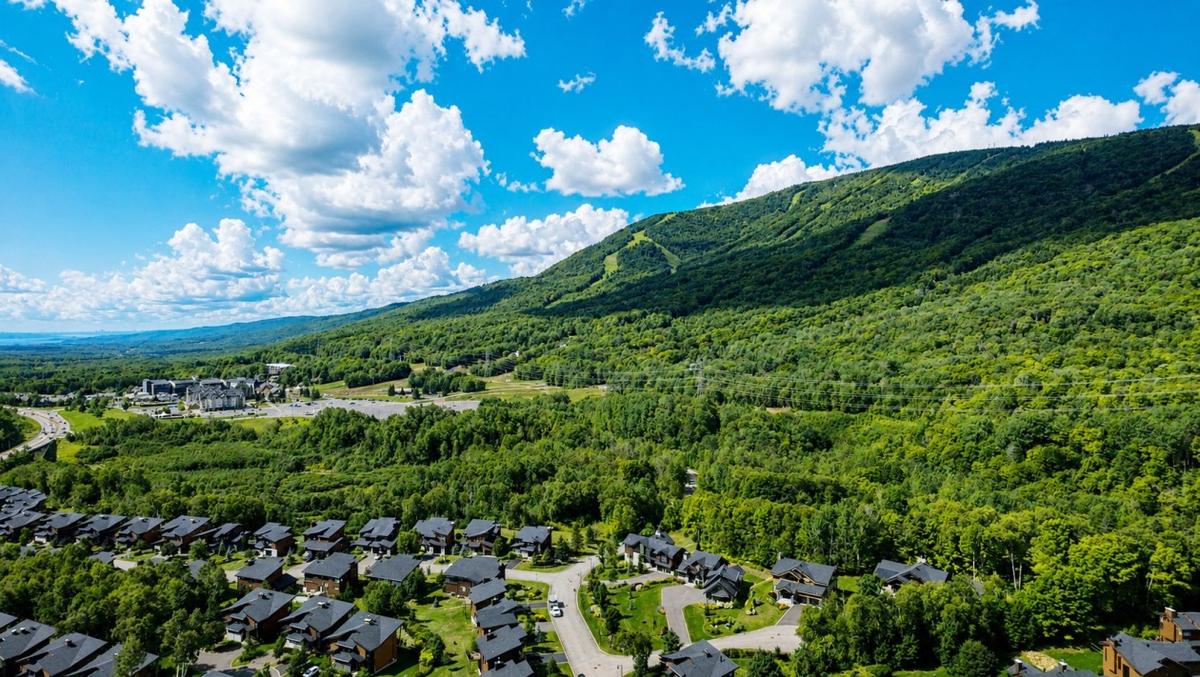 Environnement montagnard de la propriété
