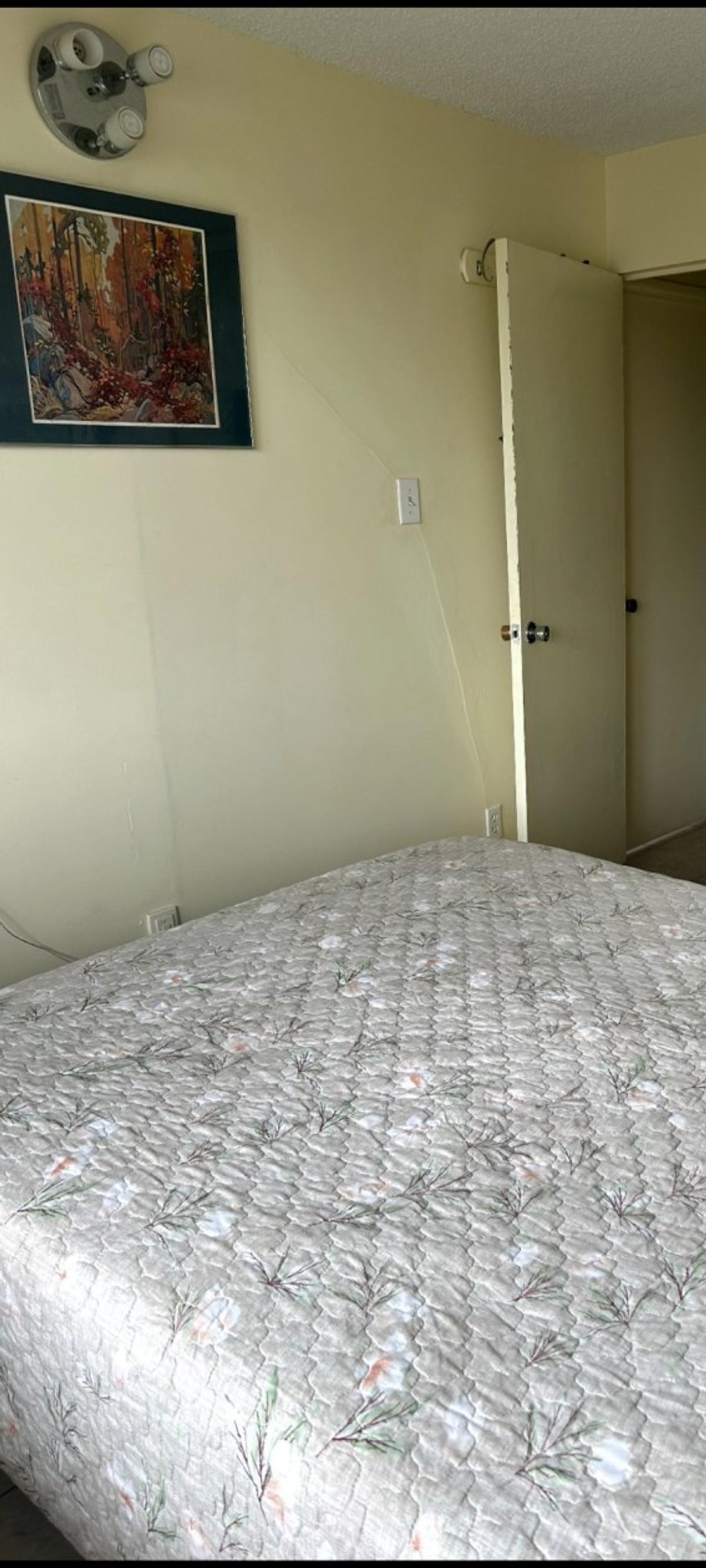 Vue complémentaire de la seconde chambre