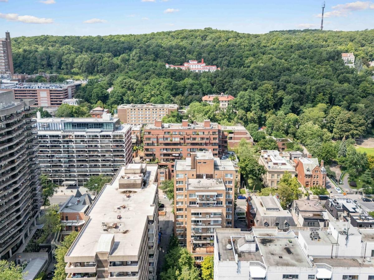 La trame verte du quartier vue d'en haut