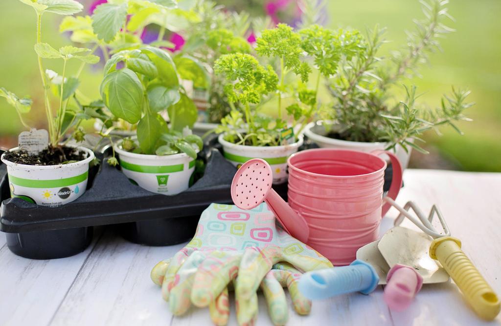 Jardinage 