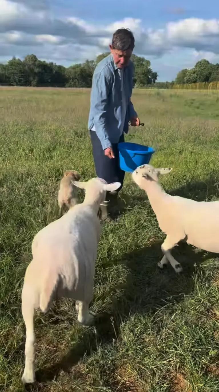 Ellen DeGeneres