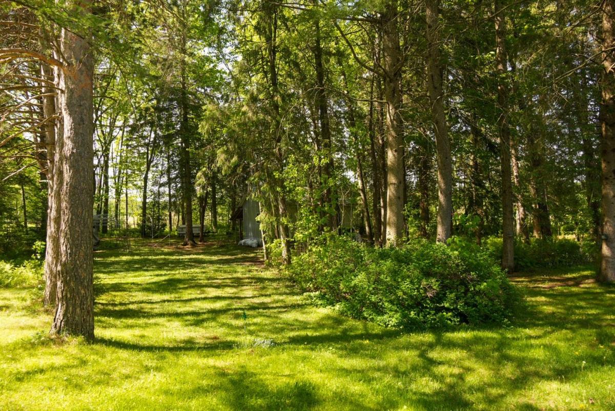 Paysage environnant