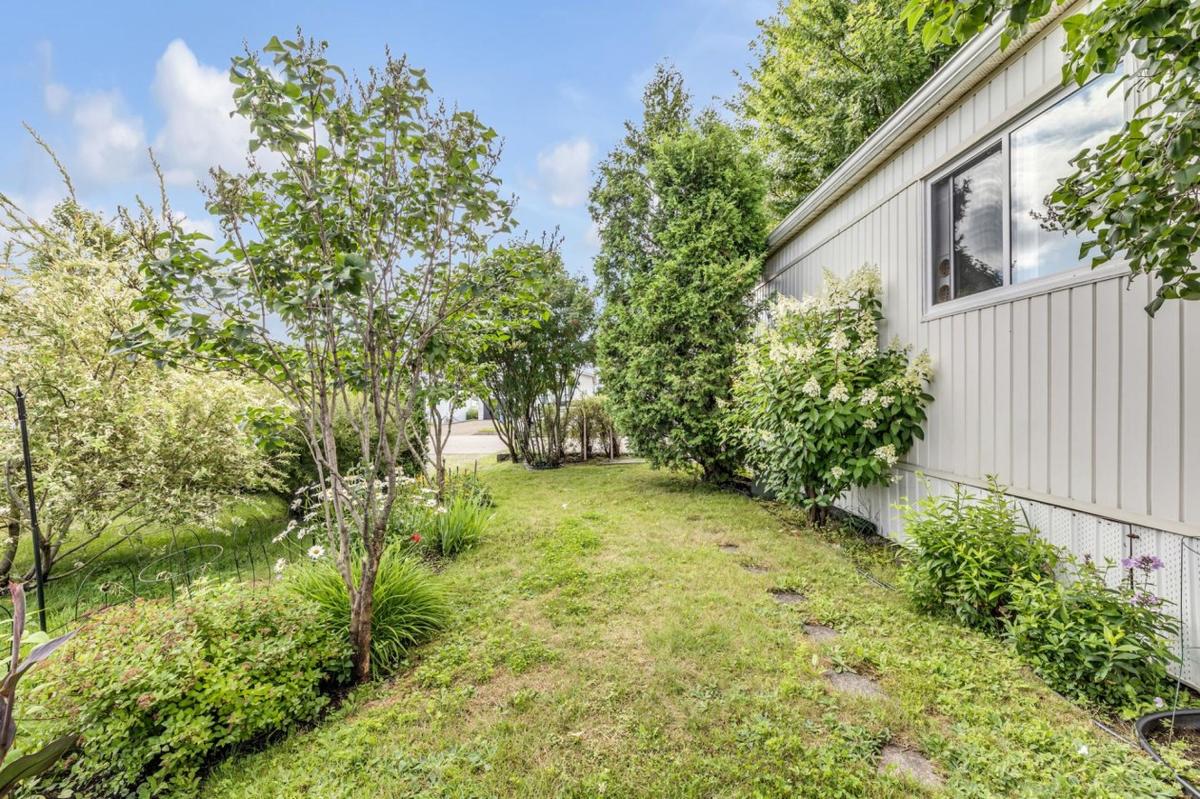 Verdure et espace dégagé