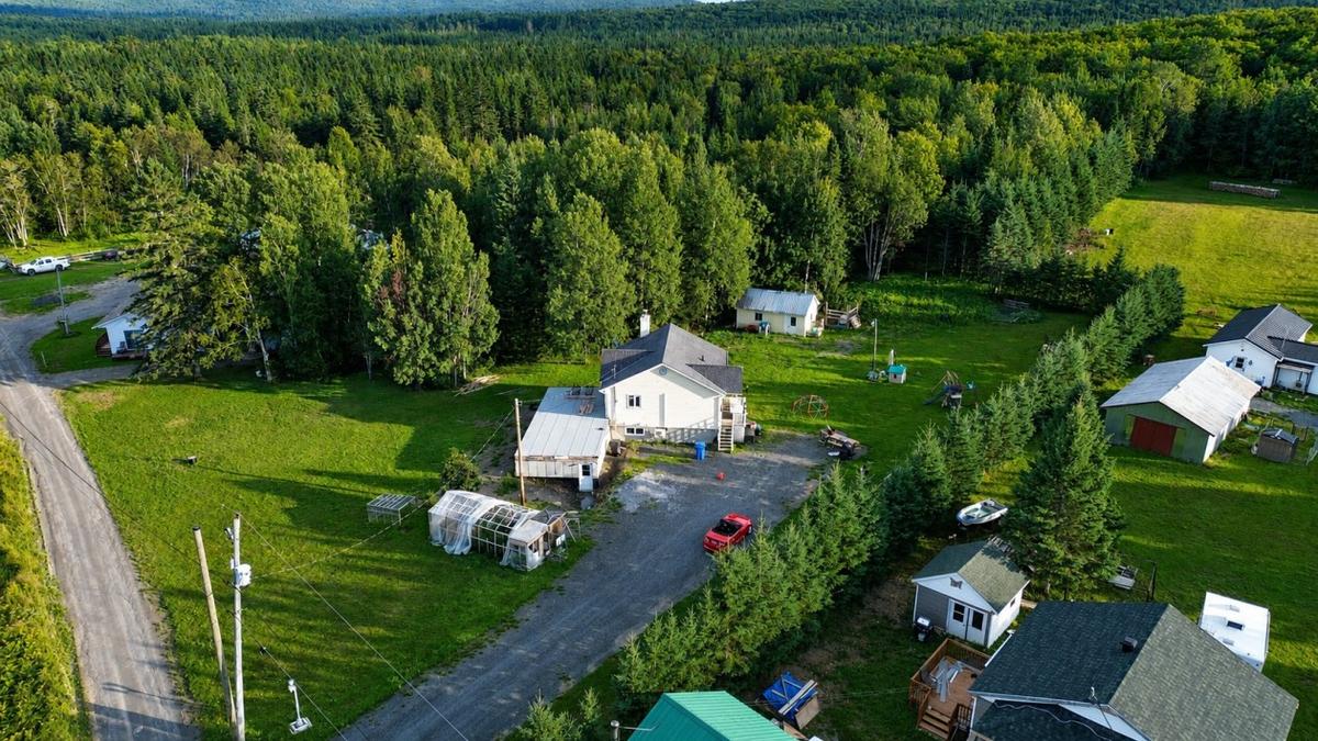La cour arrière et son environnement boisé