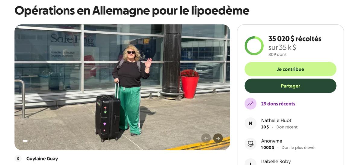 Capture d'écran GoFundMe