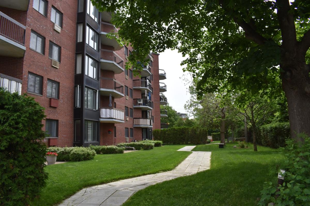 Jardin arrière de l'immeuble