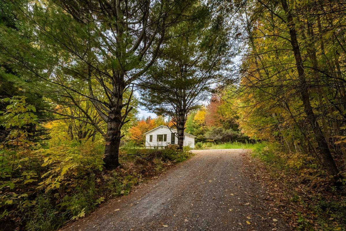 Façade du chalet parmi les arbres matures