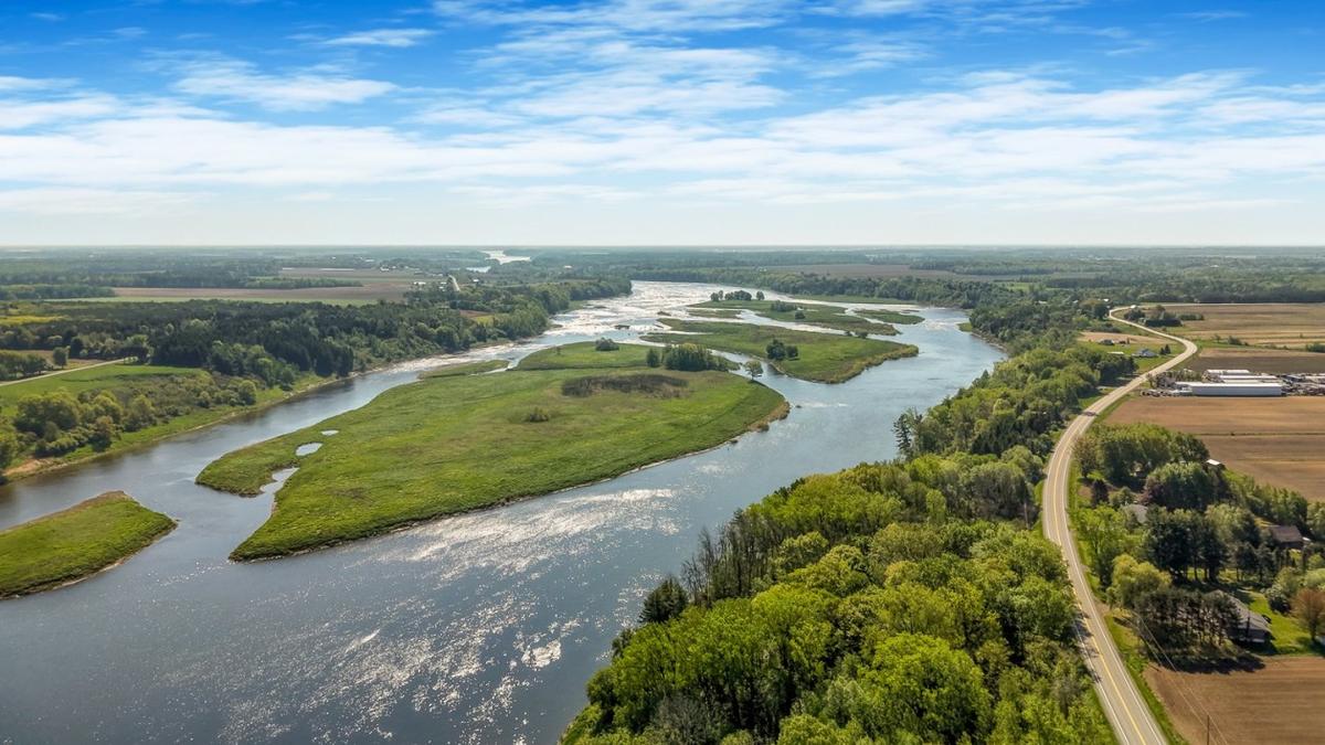 Le domaine dans son écrin de verdure