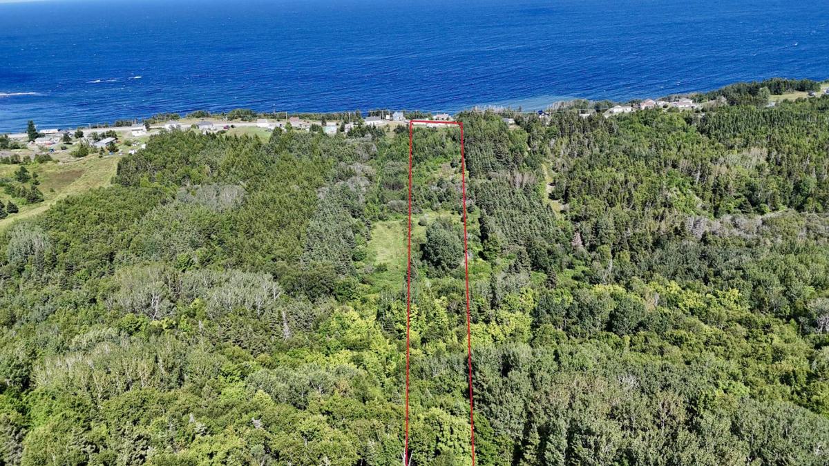 Vue plongeante sur le fleuve et la propriété