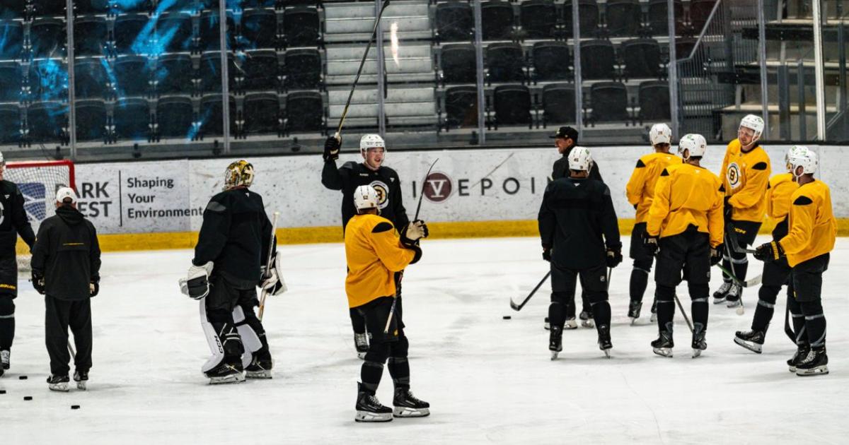 Boston Bruins