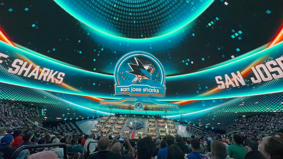San Jose Sharks 