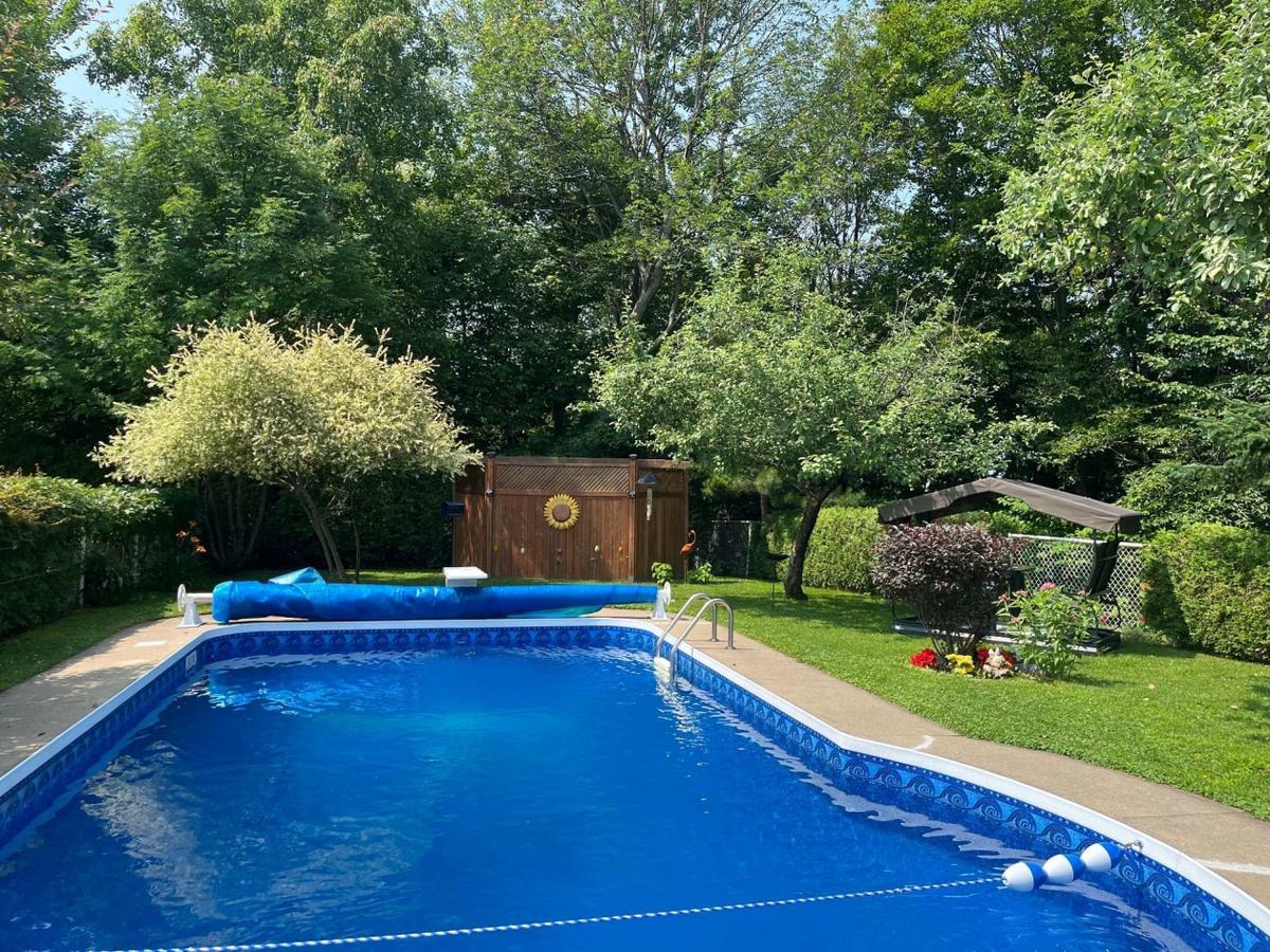 Vue sur la piscine et la cour