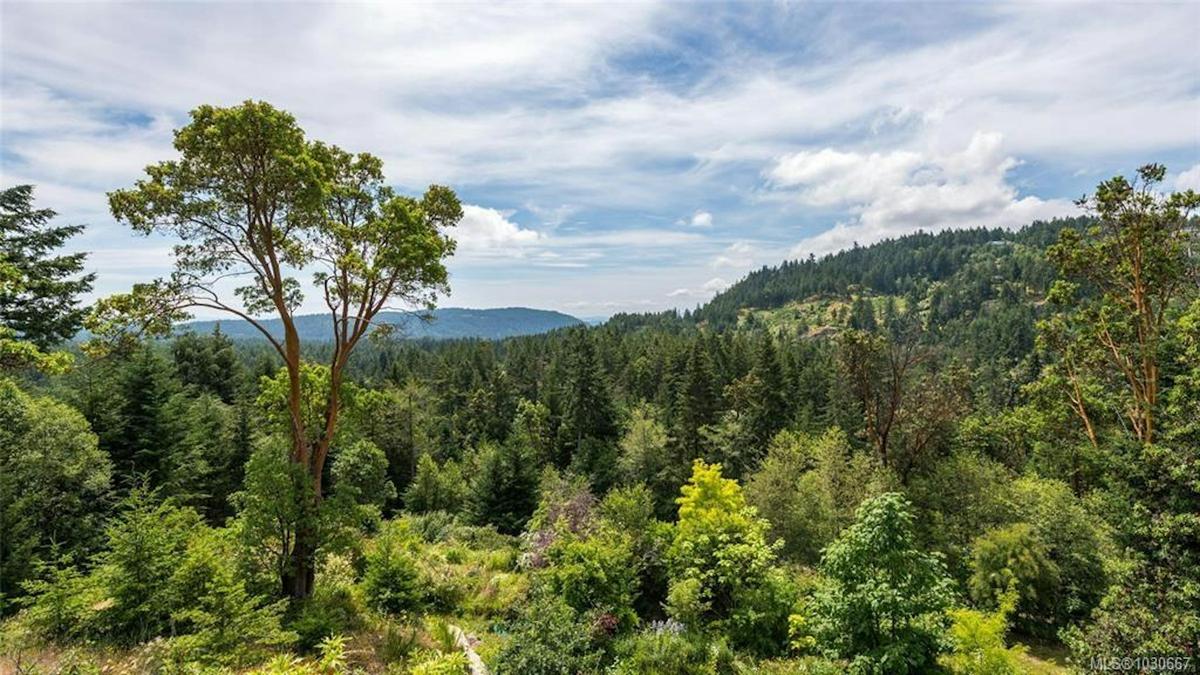 Salt Spring