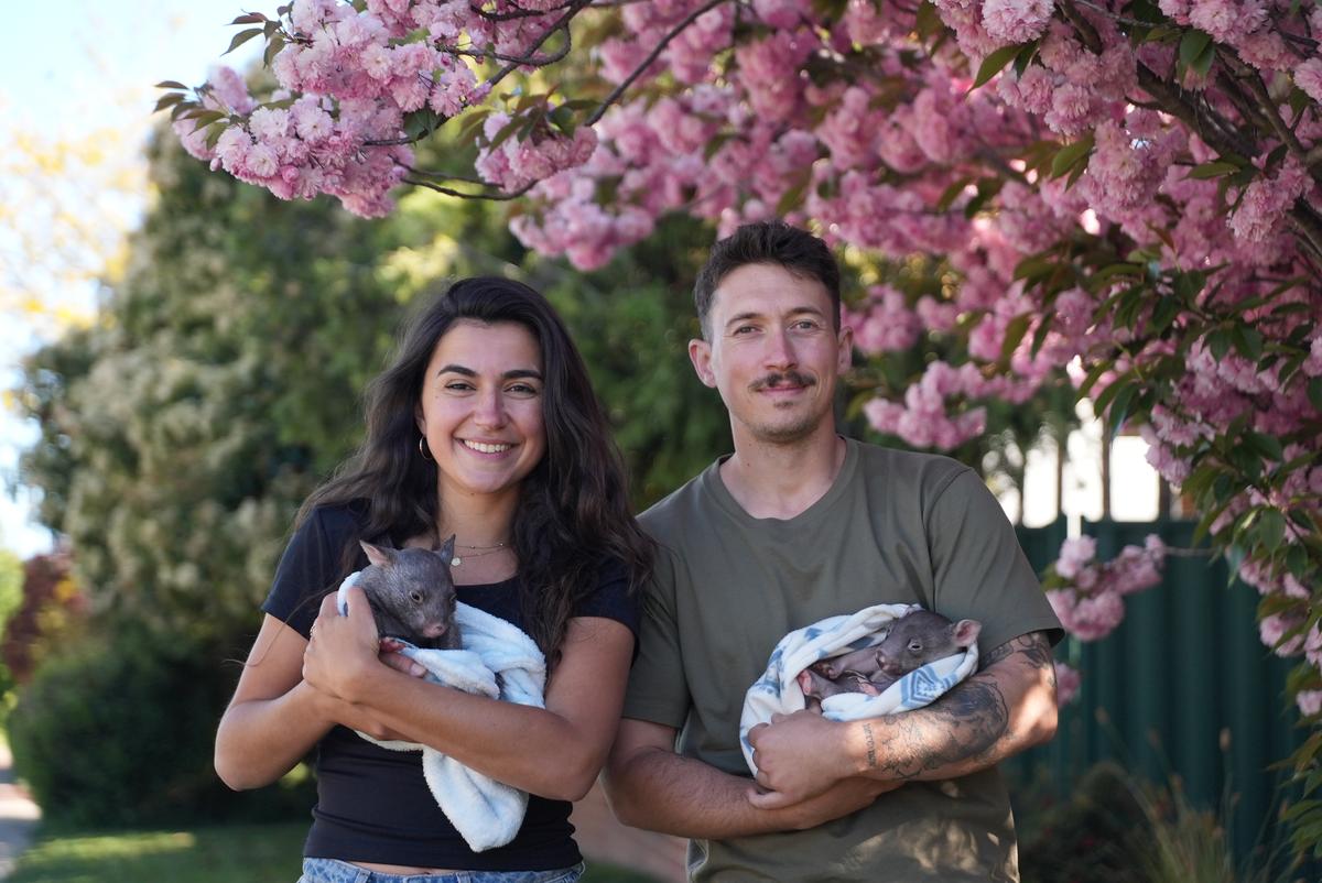 Alice et Lloyd d'Un zoo à l'autre