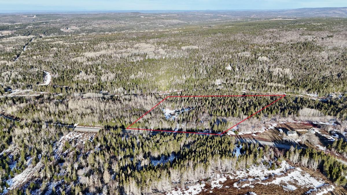 Le terrain vu du ciel, montrant l'étendue de la propriété
