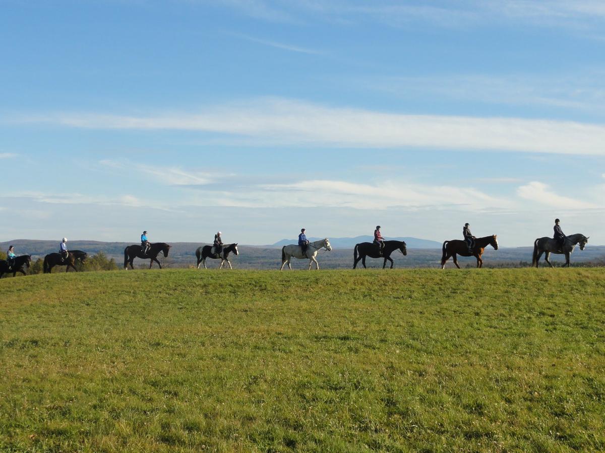 Chevaux