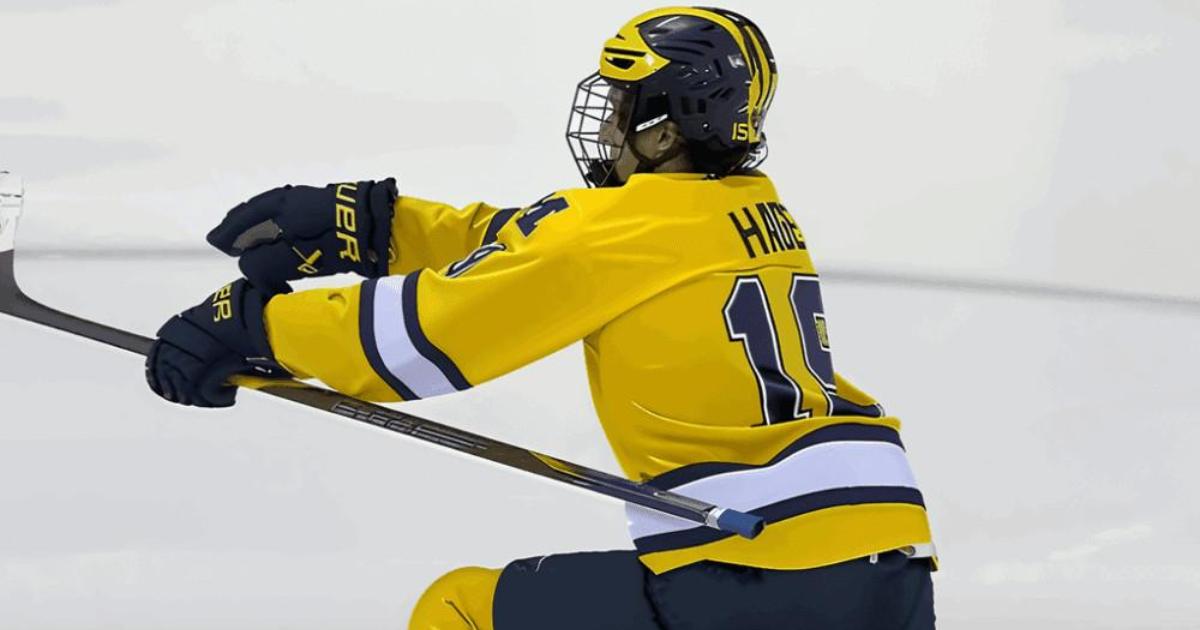 Michael Hage Michigan chandail jaune célébration