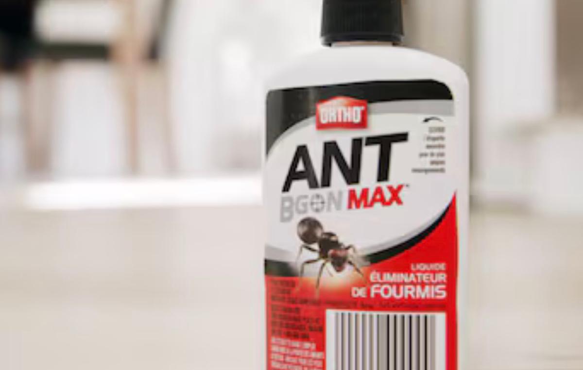 Ant be Gone