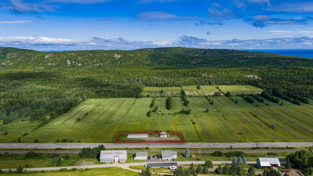 Le terrain vu dans son environnement naturel