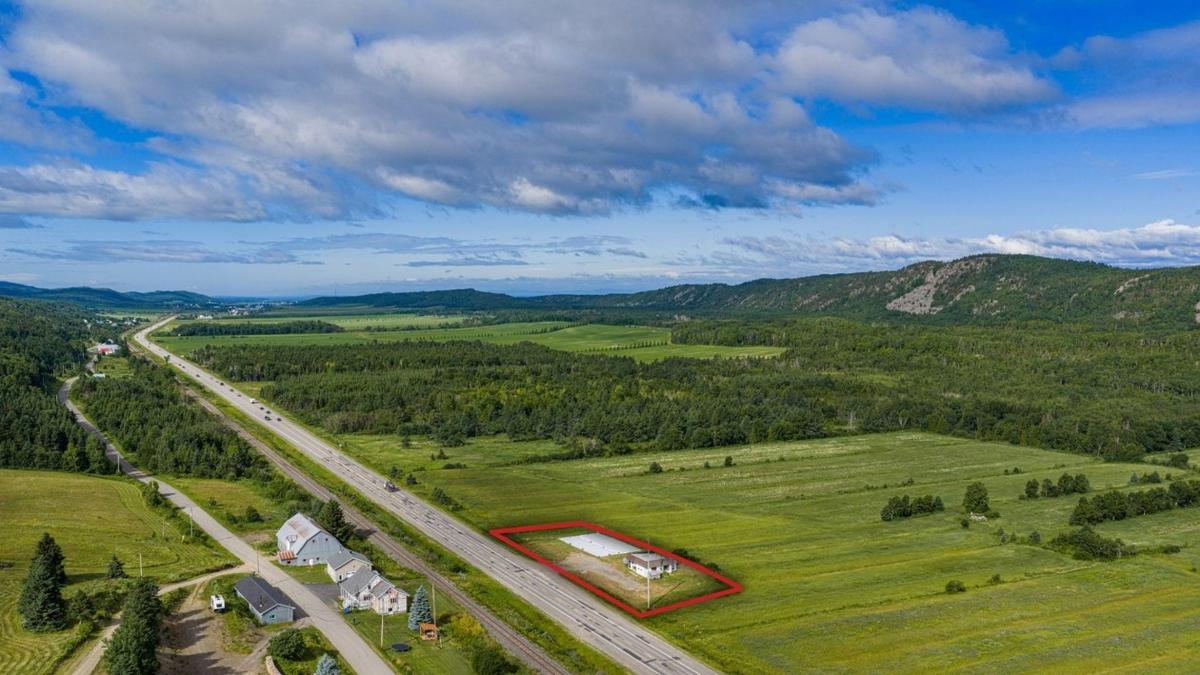 Détail du terrain et de la végétation environnante
