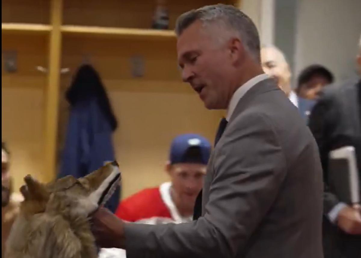 Martin St. Louis