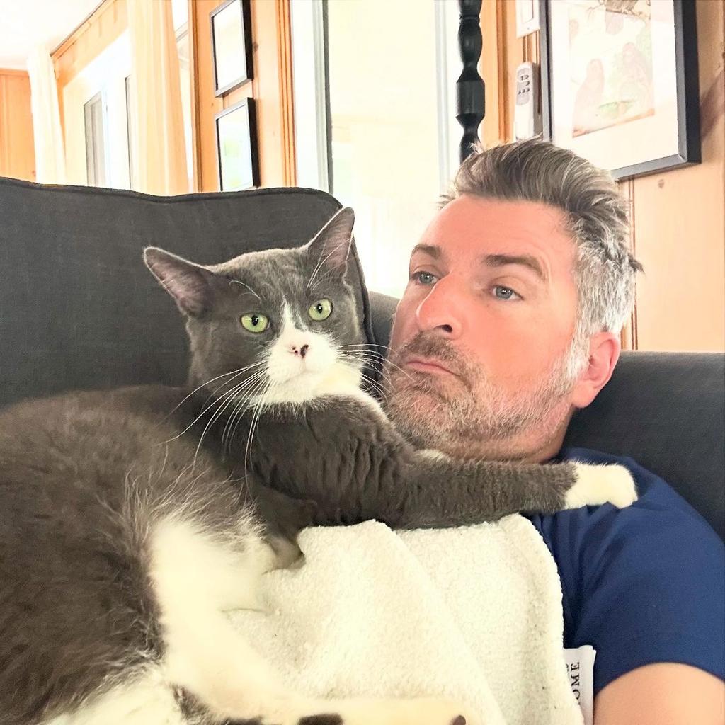 Laurier-Station, le nouveau chat de Jean-Thomas Jobin