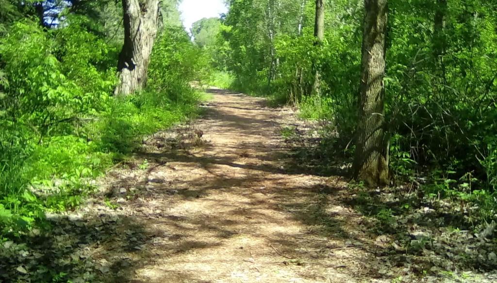 Chemin