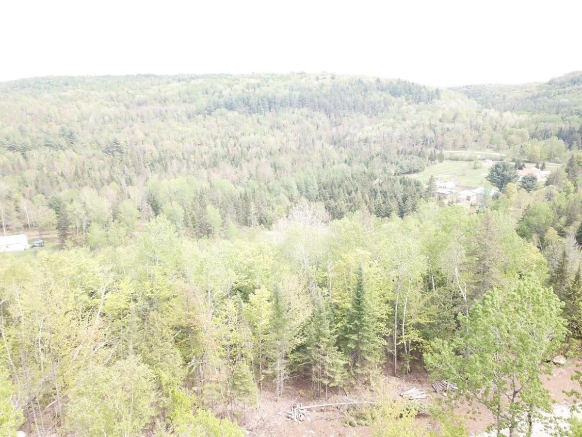 Vue panoramique depuis les hauteurs du terrain