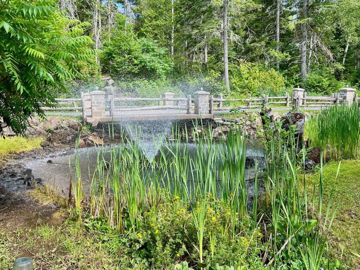 Jardin et aménagement paysager