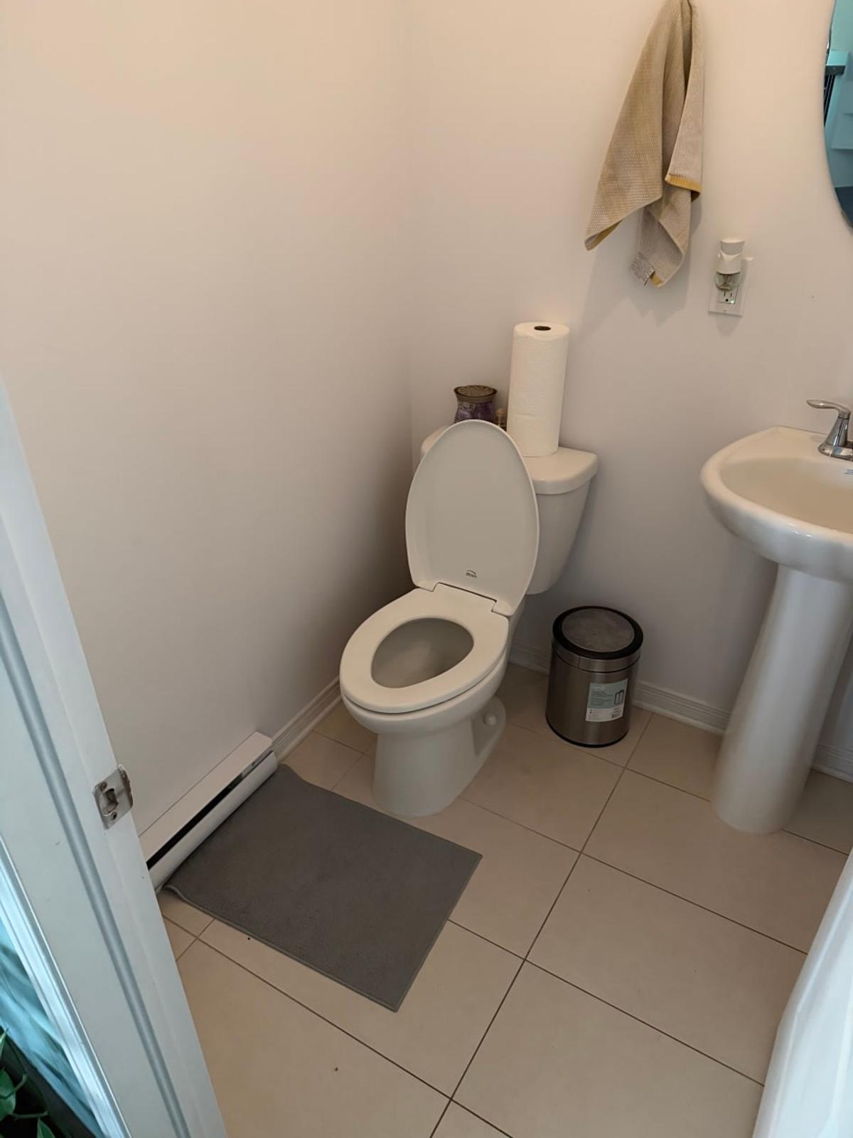 Salle de bain du rez-de-chaussée