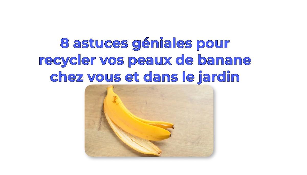 Bananes