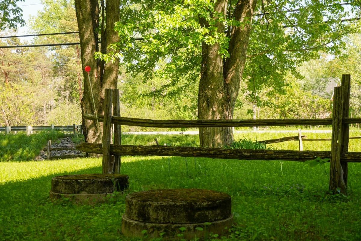 Verdure environnante