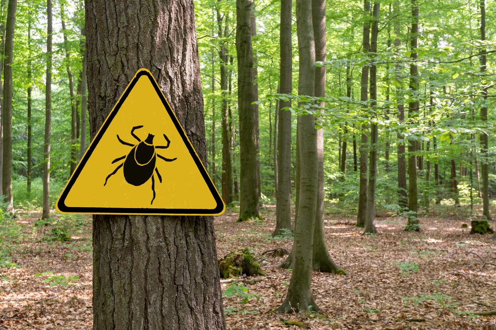 Panneau de danger de tiques sur un arbre